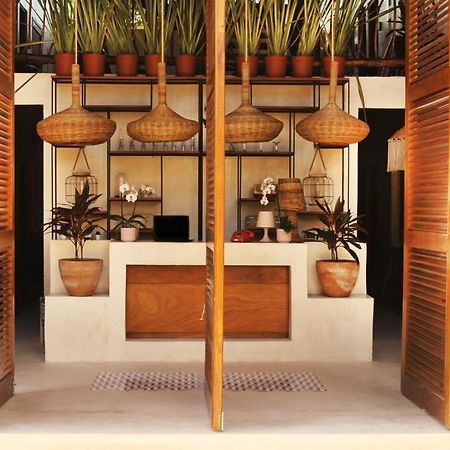 Hotel Alcobas Del Mar à Holbox Extérieur photo